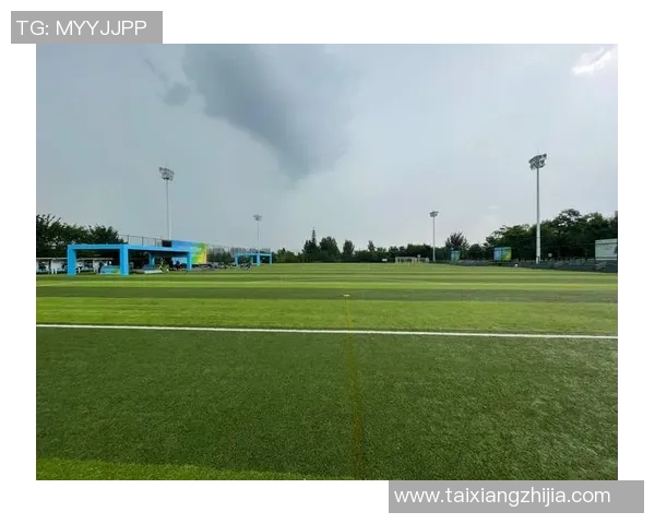 独家解读西安飞盘队的比赛节奏与其他队伍的差异与影响MBA