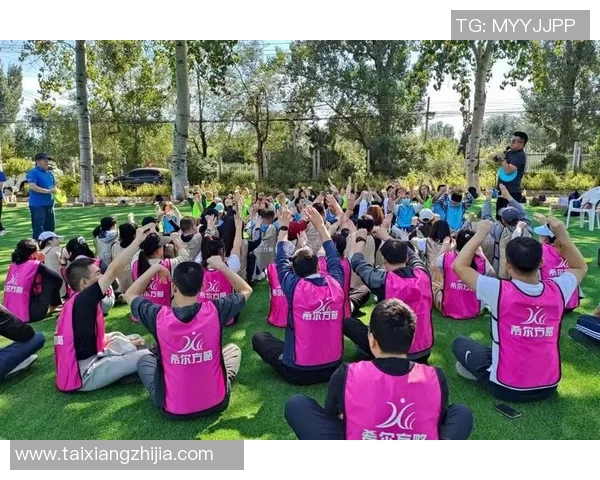 飞盘盛宴：深入了解北京飞盘队的默契与协作精神MBA