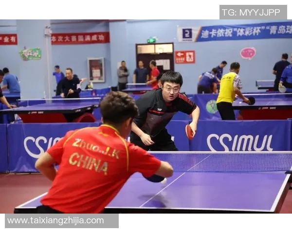 陈敏独家分享乒乓球技巧与心得助你提升球技的全面指南